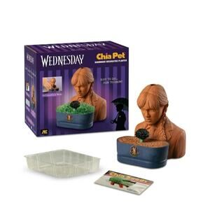 Chia Pet Wednesday Handmade Decorative Planter